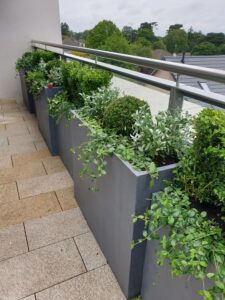 种植设计Glenageary